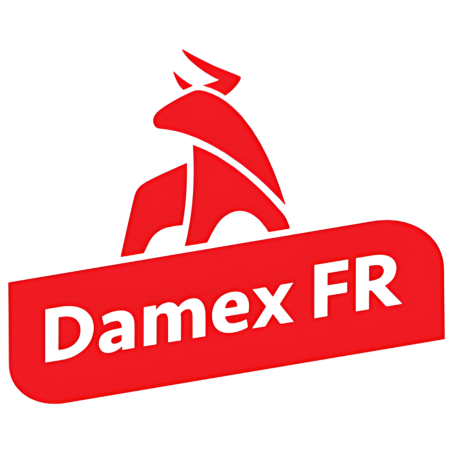 DAMEX FR Logo